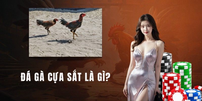 Đá Gà Cựa Sắt